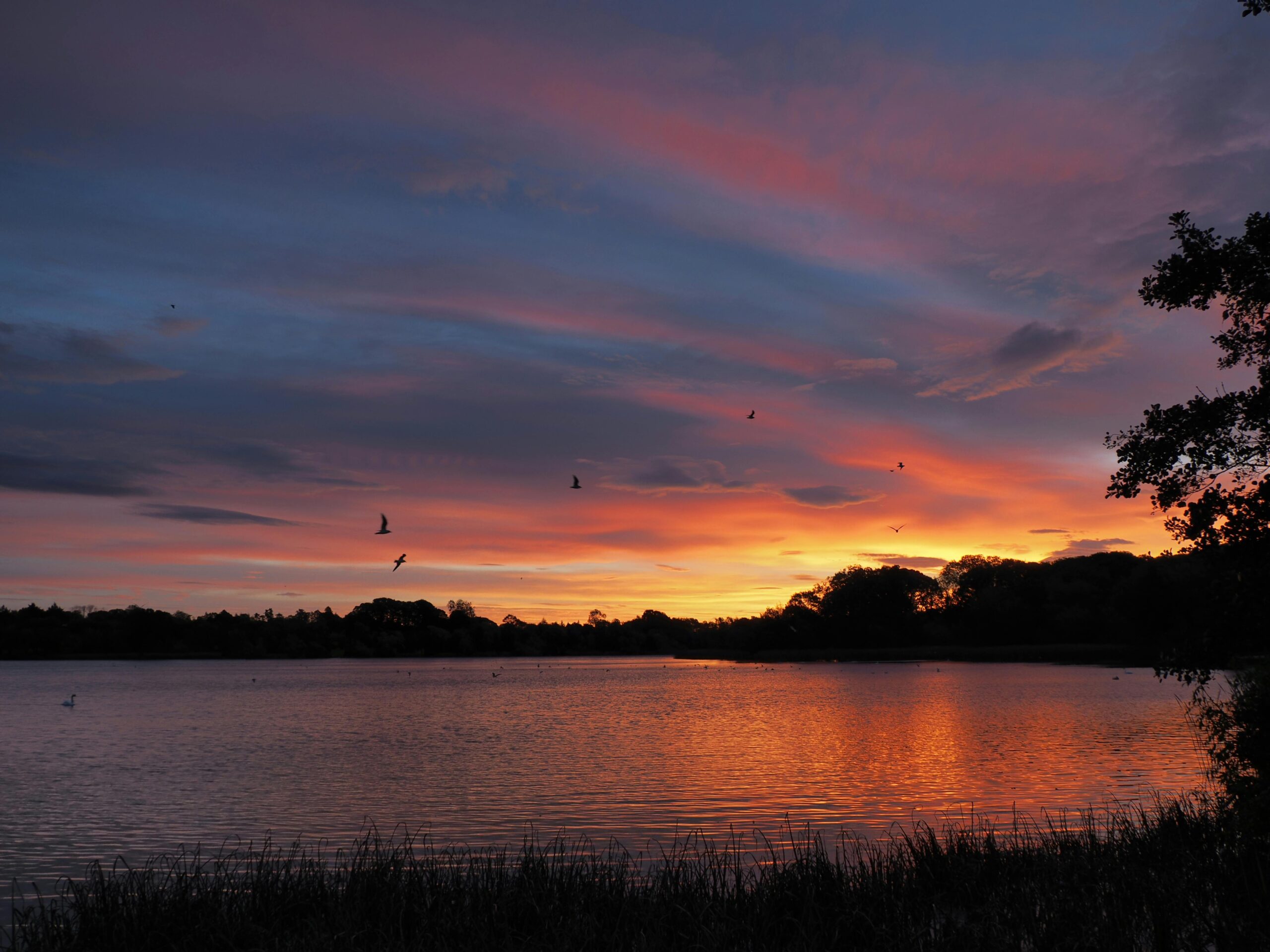 Capture of a vibrant sunset with birds over a tranquil lake, showcasing the beauty of Northern Ireland's landscapes.