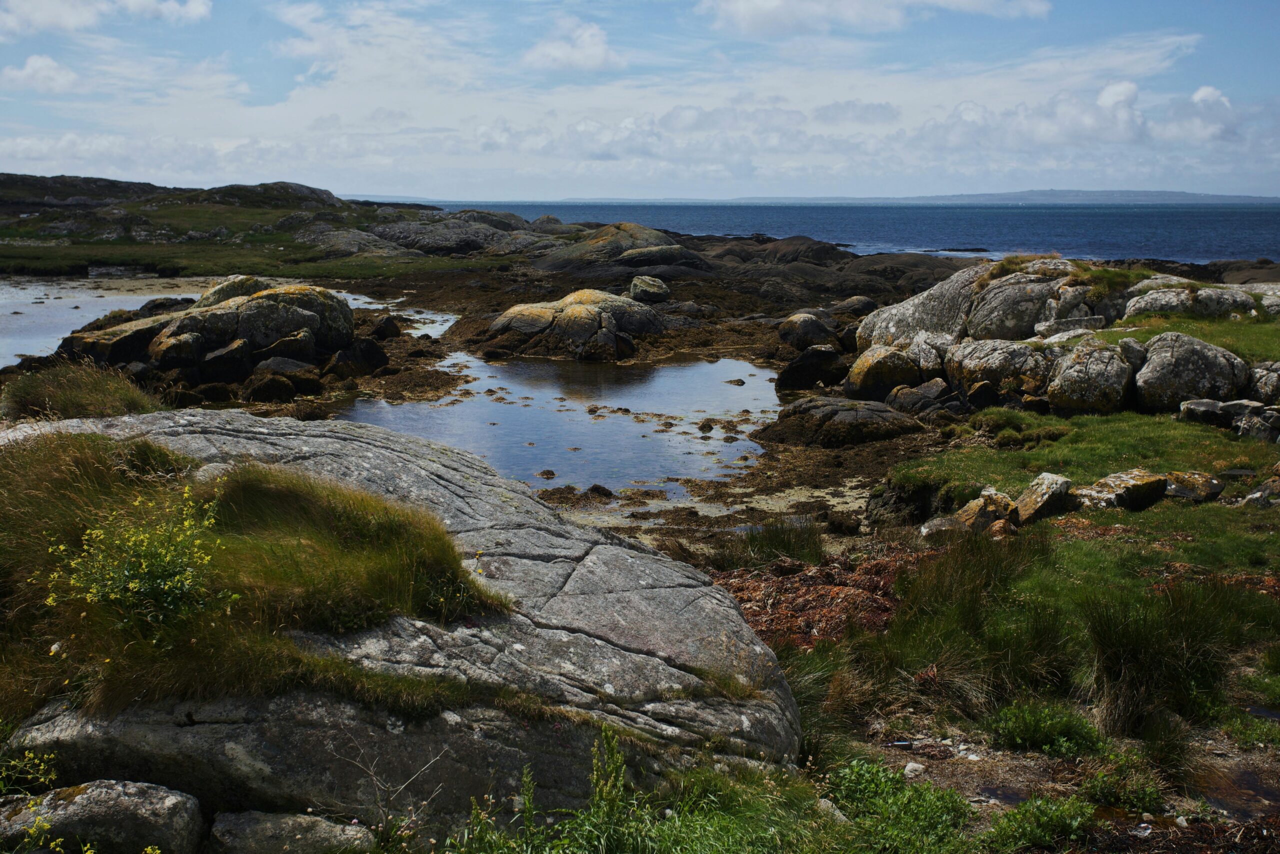 Tranquil coastal scene with rocks and grass in Connemara, Ireland.